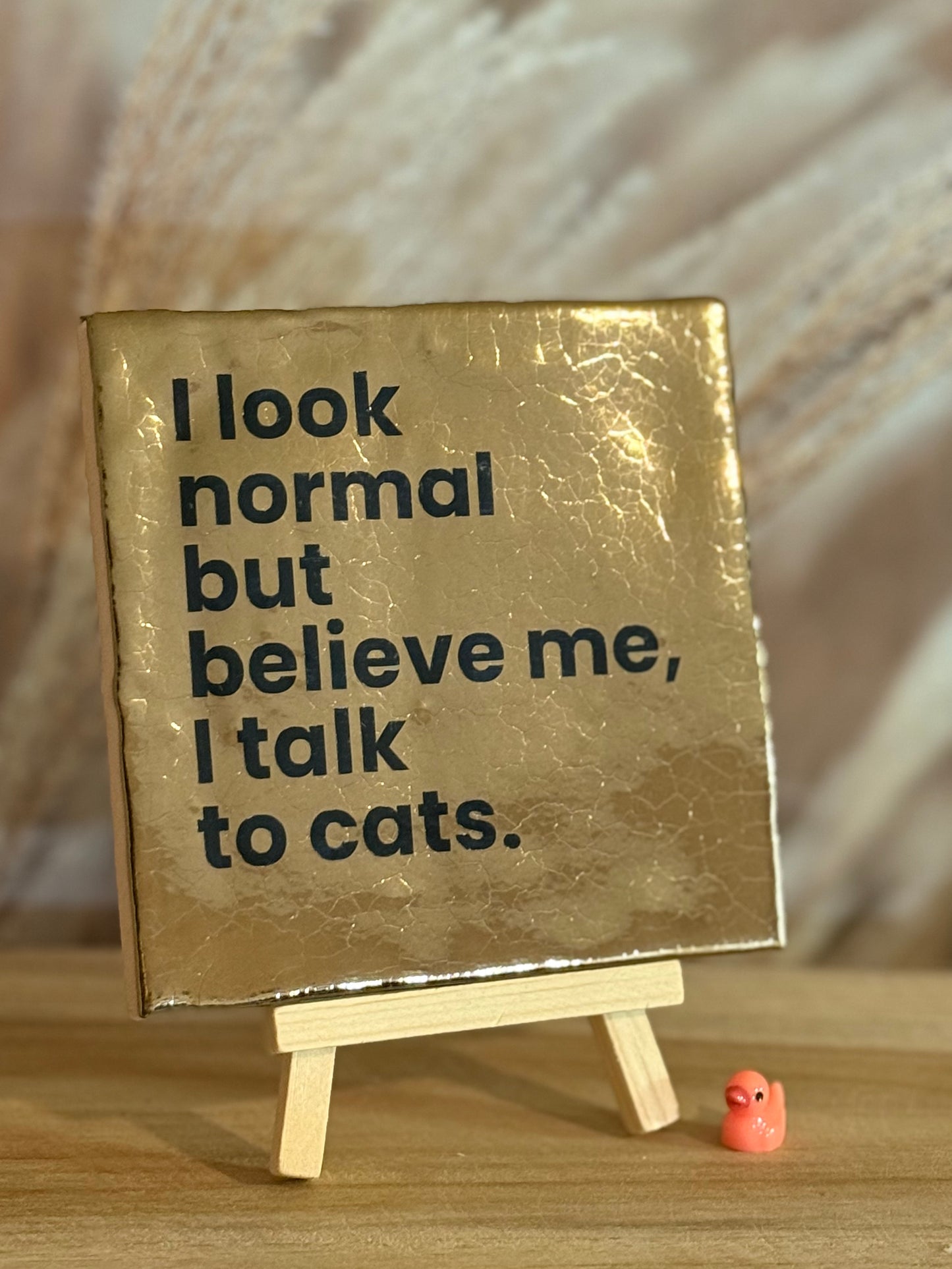 Tegeltje - I Look normal but believe me, I talk to cats.