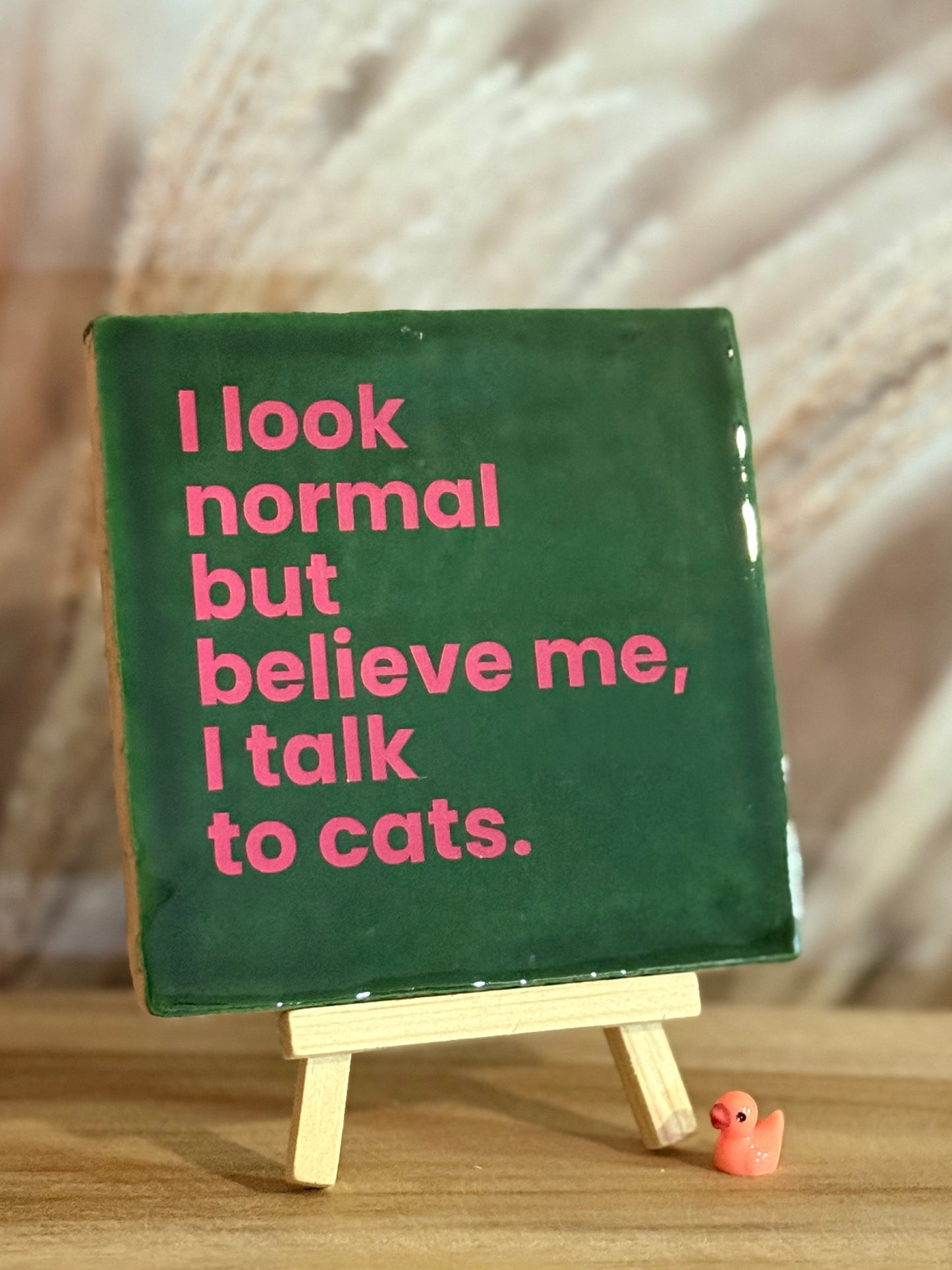 Tegeltje - I Look normal but believe me, I talk to cats.