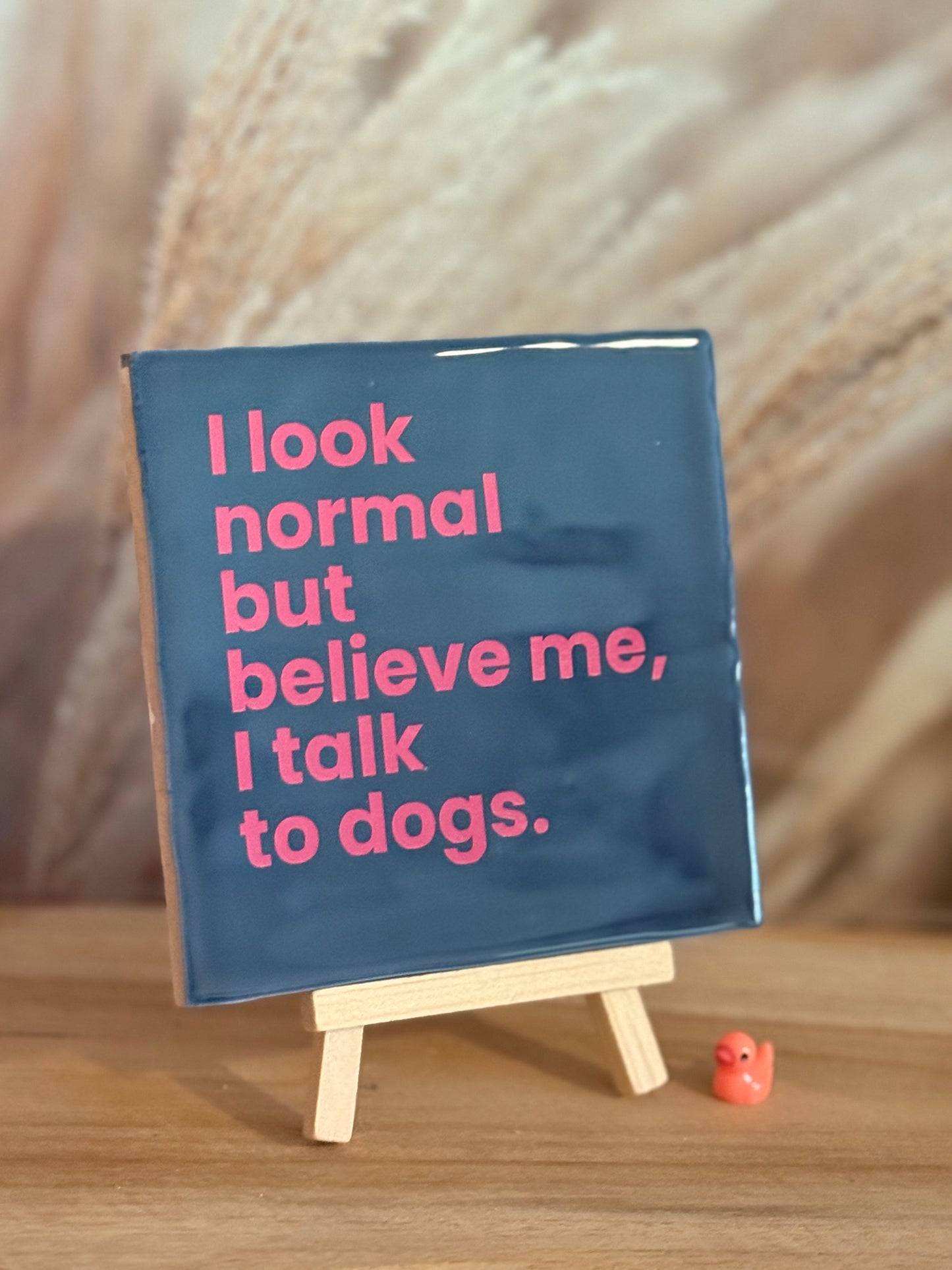 Tegeltje - I Look normal but believe me, I talk to dogs.