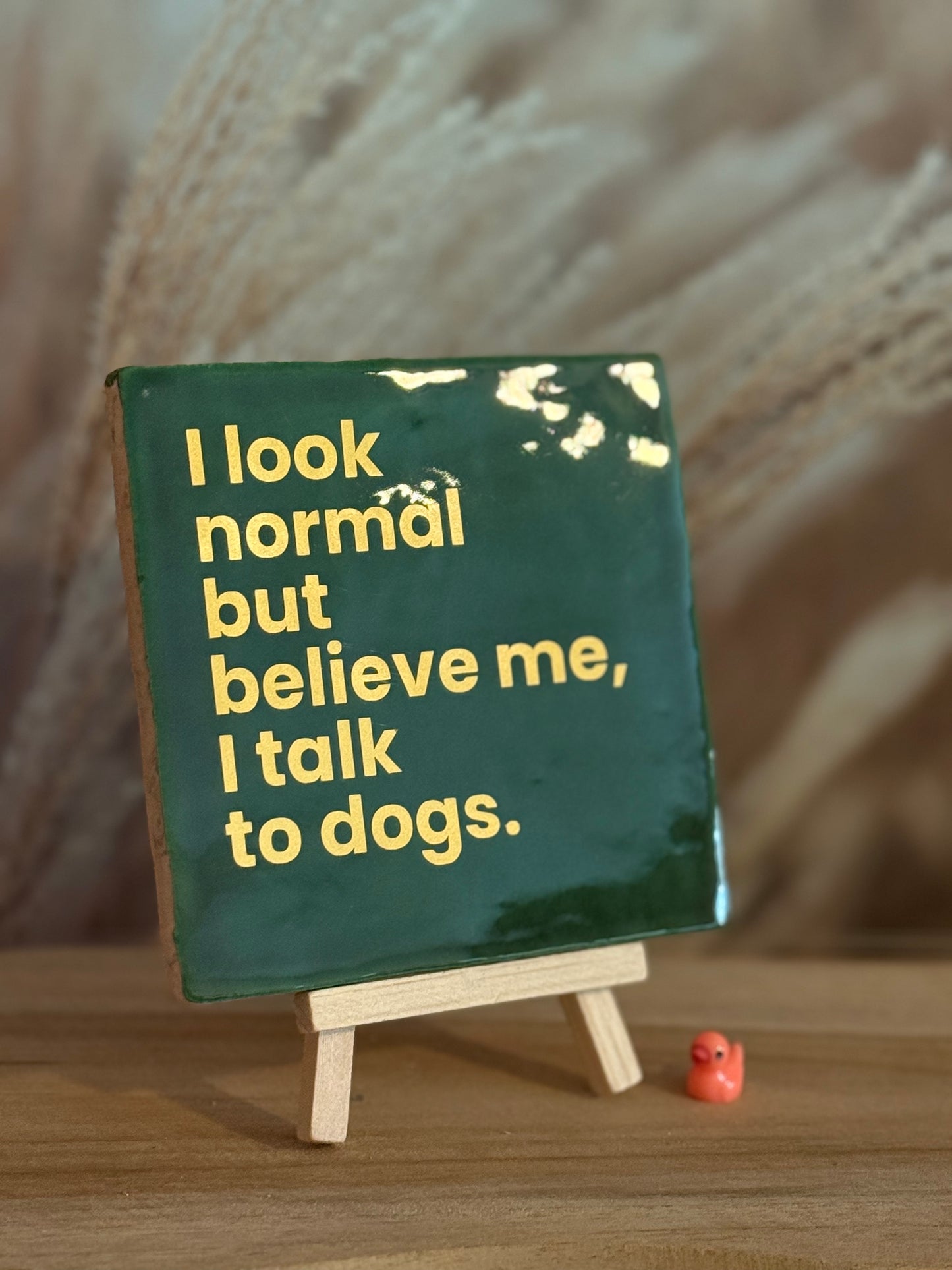 Tegeltje - I Look normal but believe me, I talk to dogs.