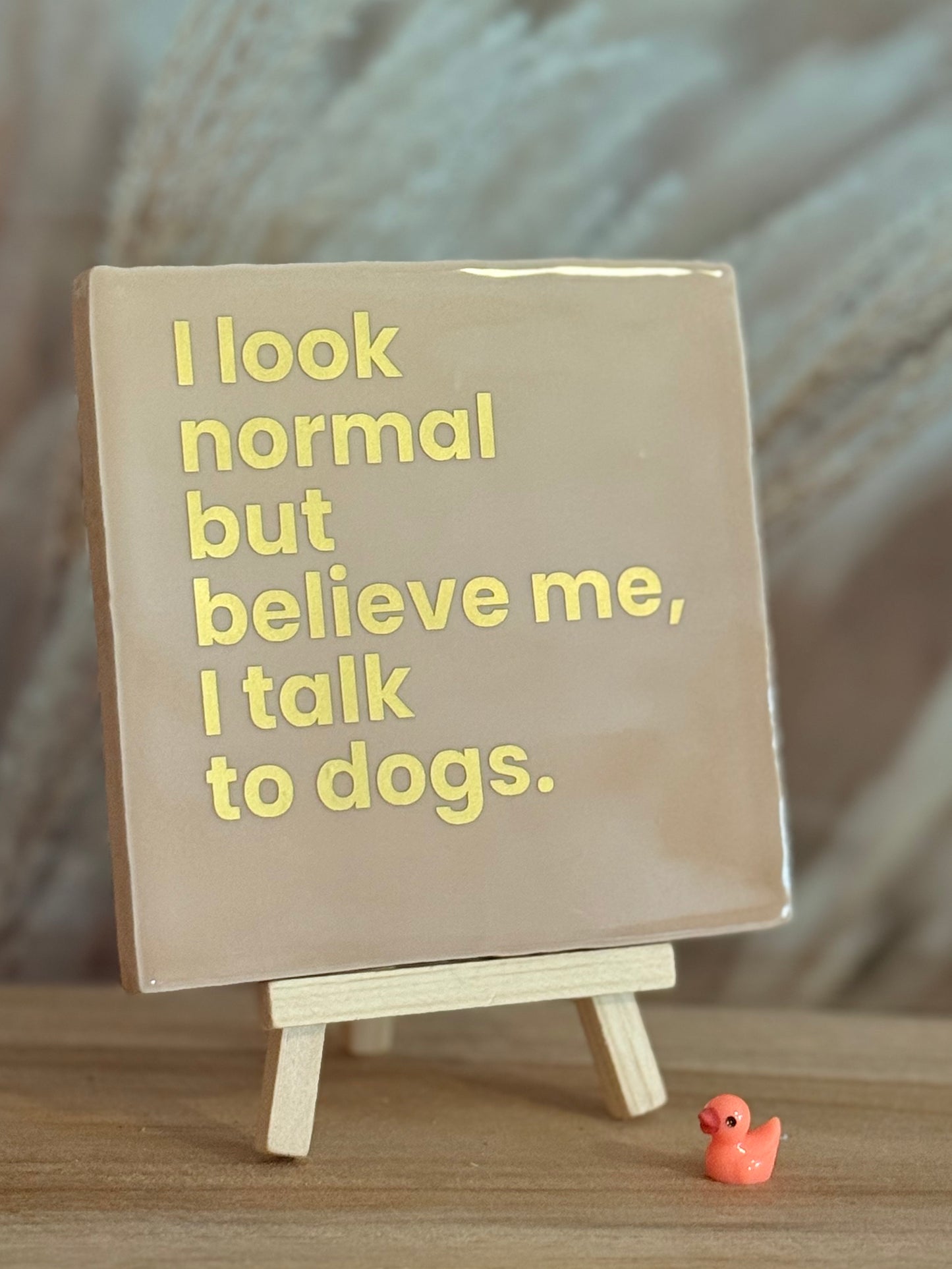 Tegeltje - I Look normal but believe me, I talk to dogs.