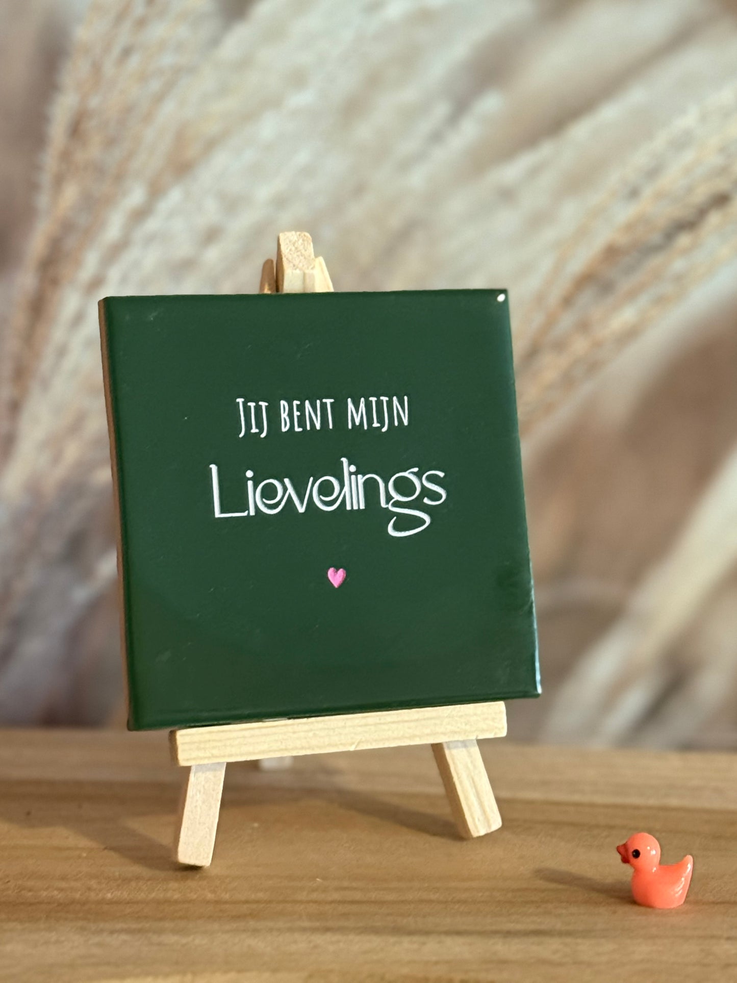 Tegeltje - Jij bent mijn LIEVELINGS