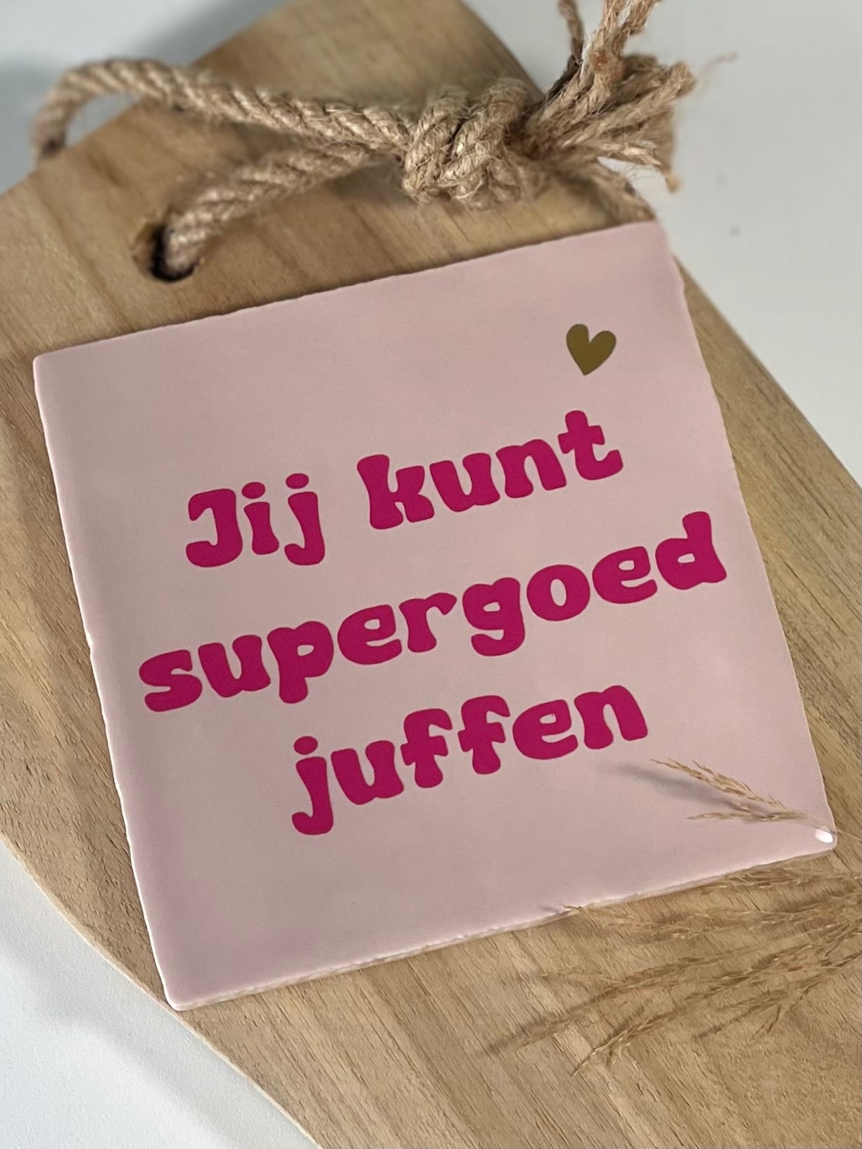 Tegeltje Jij kunt supergoed juffen