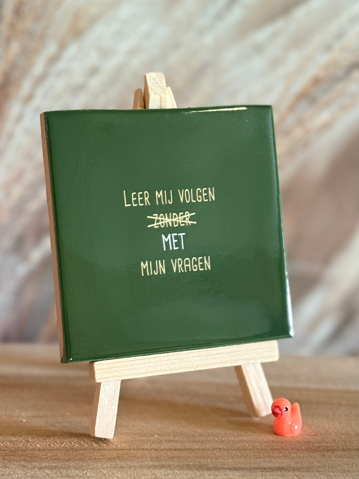 Tegeltje - Leer mijn volgen MET mijn vragen