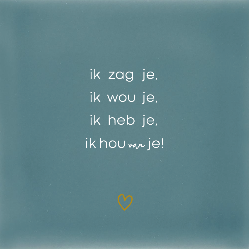 Ik zag je, ik wou je, ik heb je ,ik hou van je