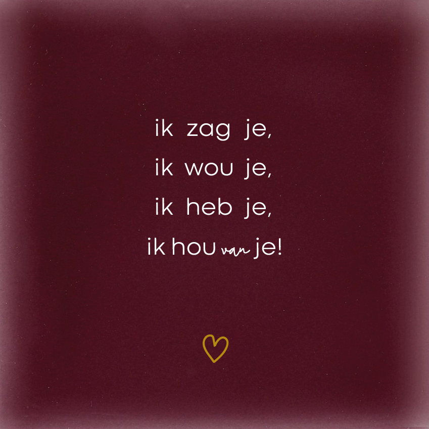 Ik zag je, ik wou je, ik heb je ,ik hou van je