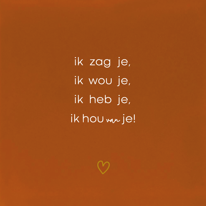 Ik zag je, ik wou je, ik heb je ,ik hou van je