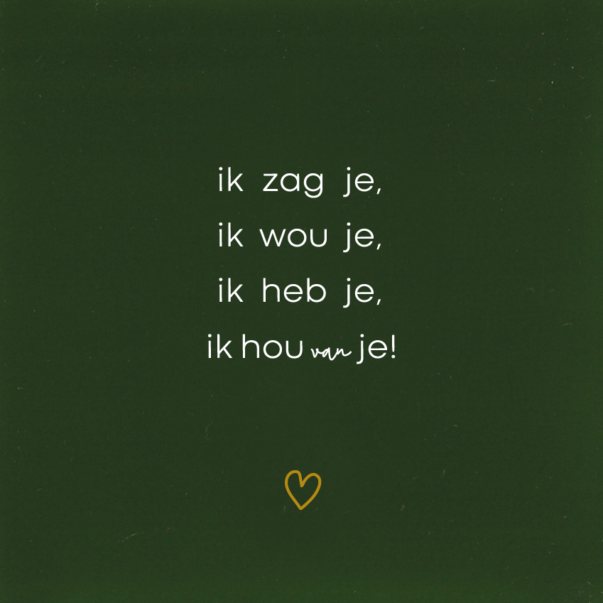Ik zag je, ik wou je, ik heb je ,ik hou van je