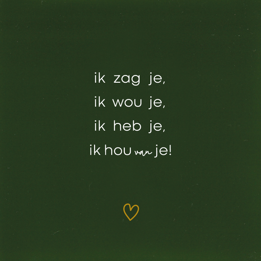 Ik zag je, ik wou je, ik heb je ,ik hou van je