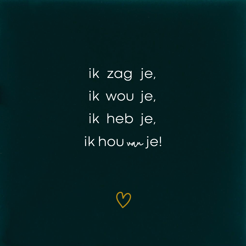 Ik zag je, ik wou je, ik heb je ,ik hou van je