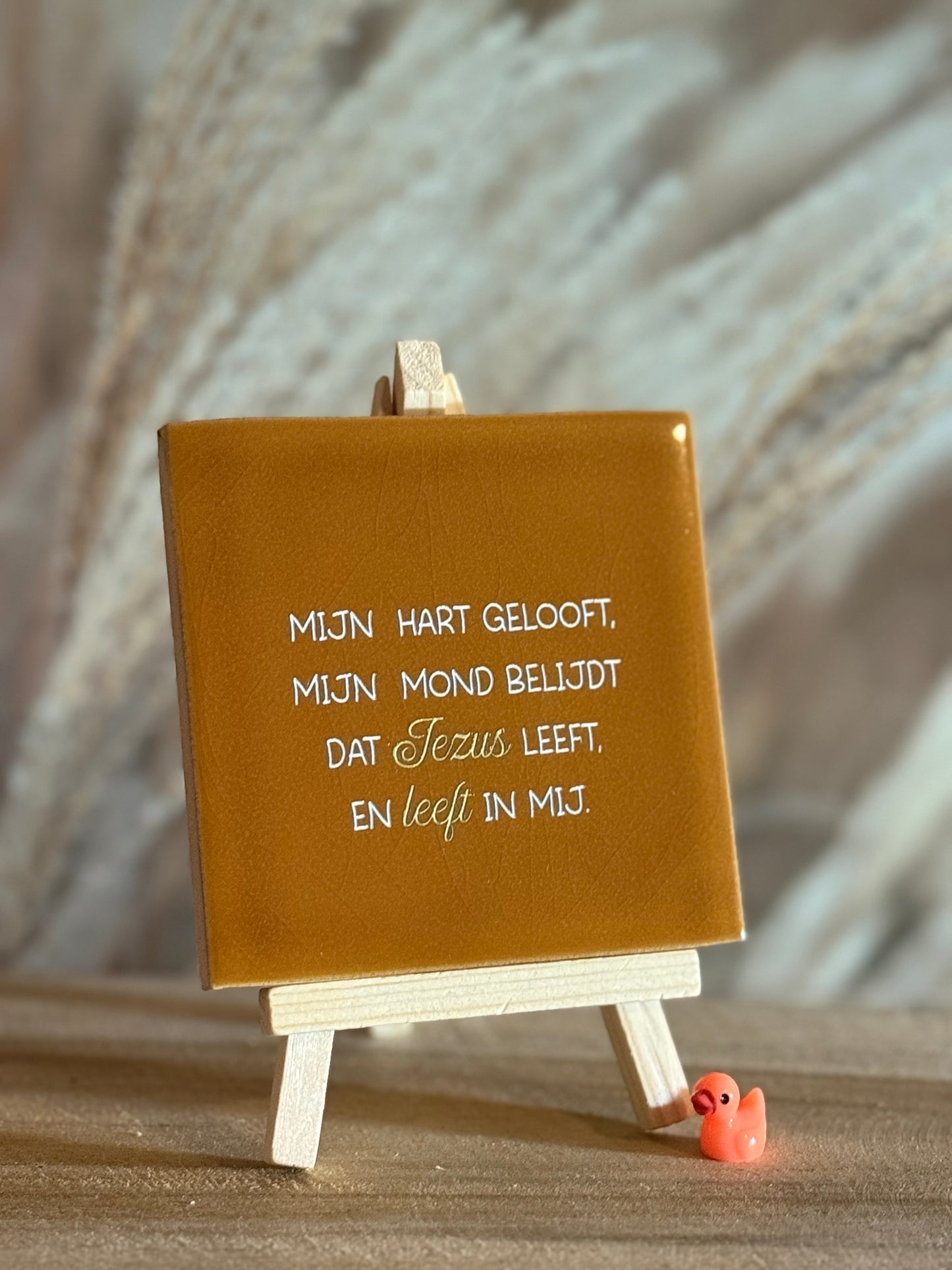 Mijn hart gelooft, mijn mond belijdt, dat Jezus leeft en leeft in mij.