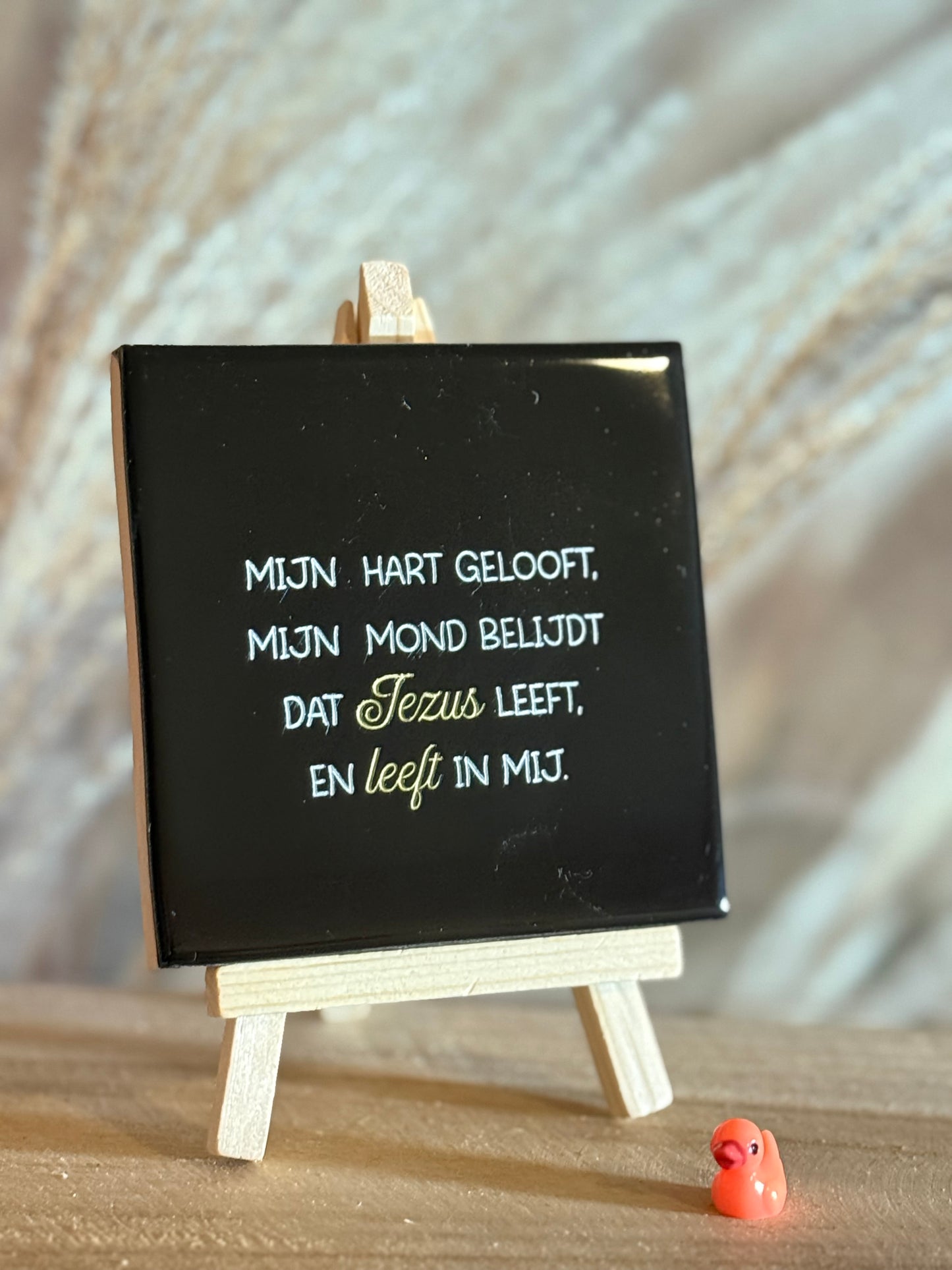 Mijn hart gelooft, mijn mond belijdt, dat Jezus leeft en leeft in mij.