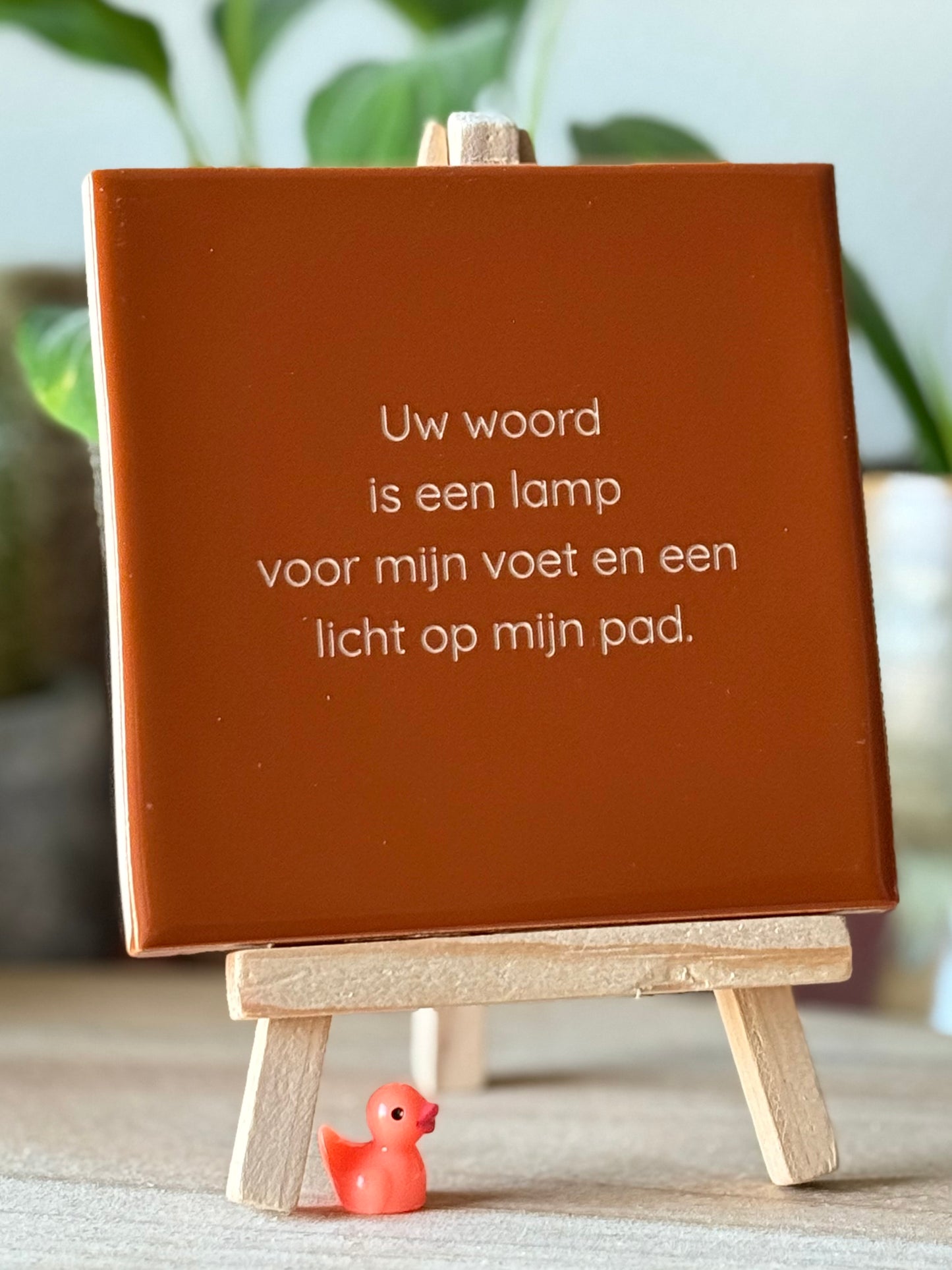 Uw woord is een lamp voor mijn voet en een licht op mijn pad.