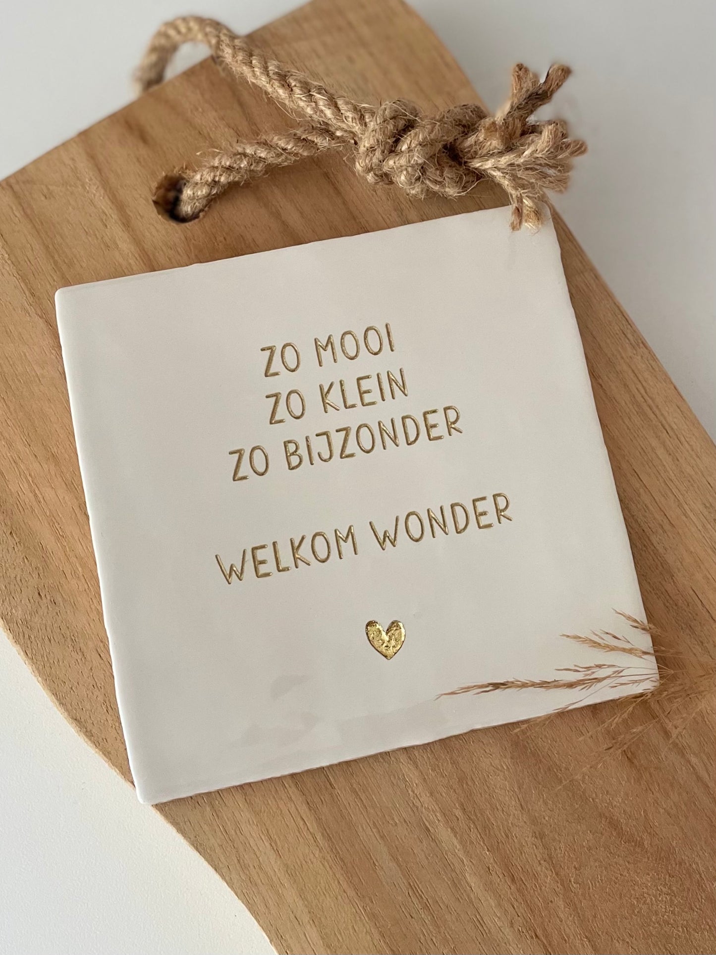 Gegraveerd tegeltje - Zo mooi zo klein
