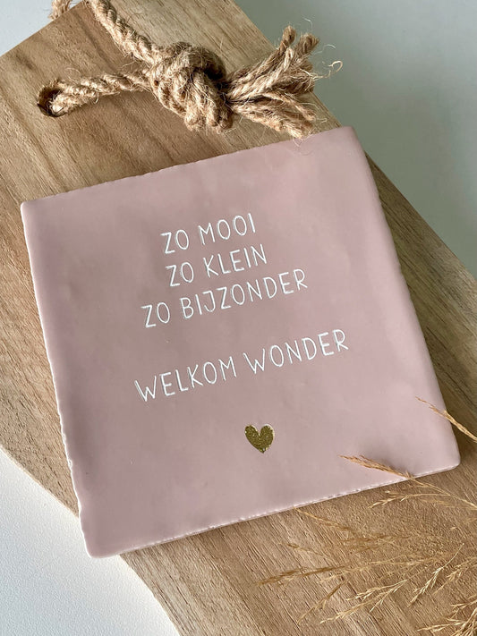 Tegeltje zo mooi zo klein